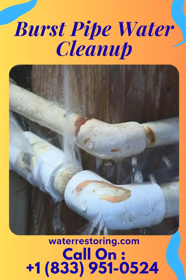 Burst Pipe Water Cleanup in Pottsgrove, PA