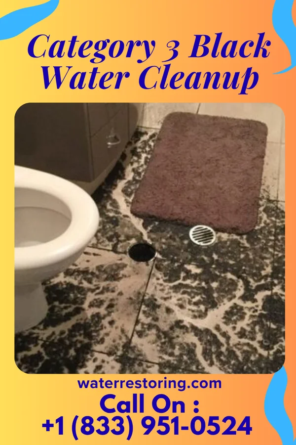 Category 3 Black Water Cleanup in Pottsgrove, PA