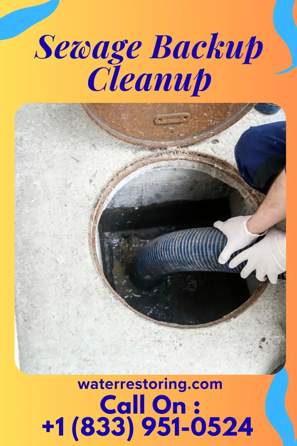 Sewage Backup Cleanup in Pottsgrove, PA
