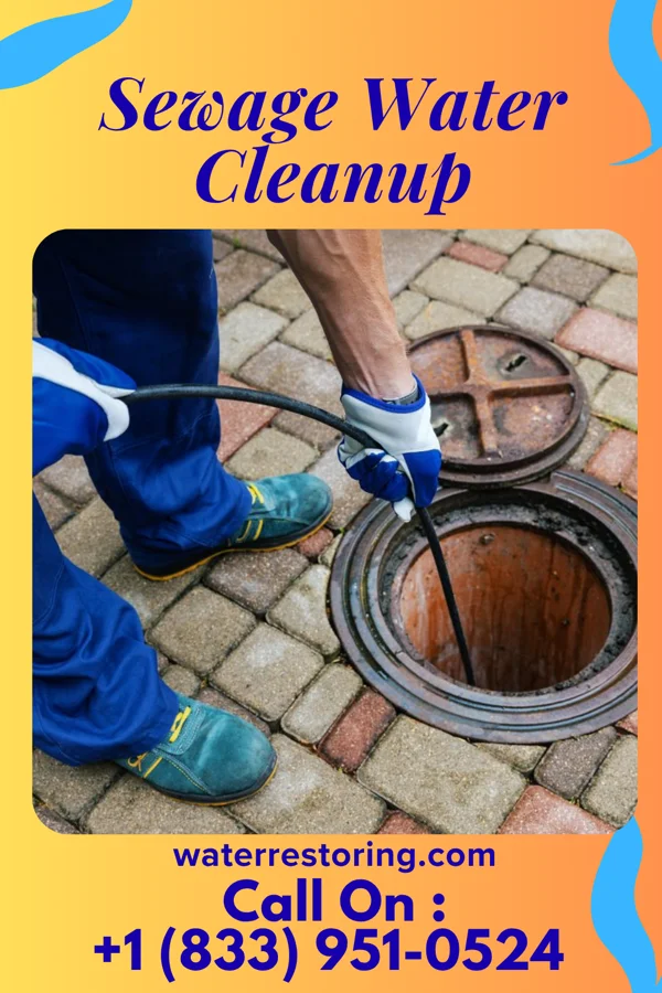 Sewage Water Cleanup in Pottsgrove, PA